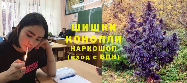 дживик Михайловск