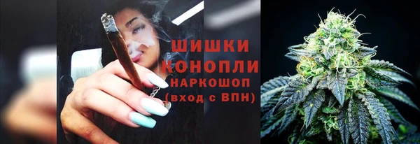 дживик Михайловск