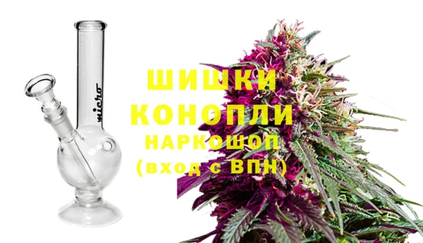 дживик Михайловск