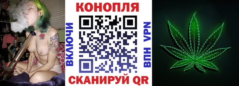 Купить  Каменногорск  Канабис конопля 